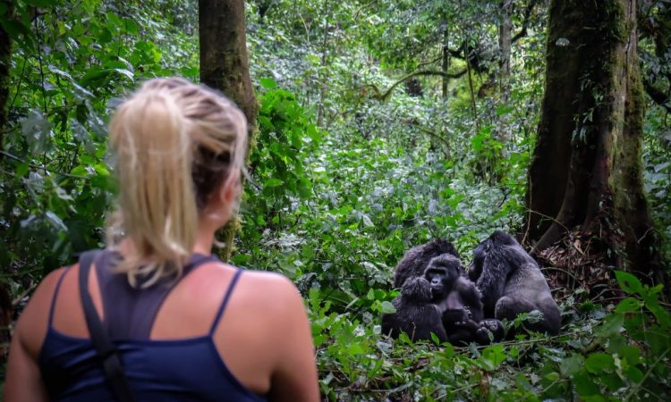 Bwindi Impenetrable Forest