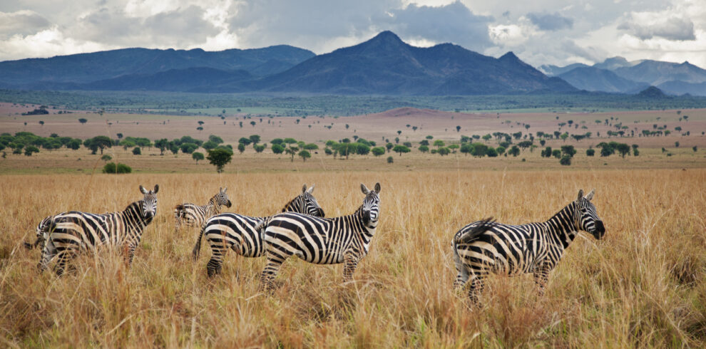 Kidepo Valley National Park
