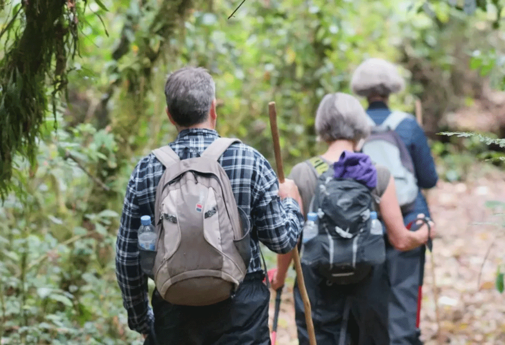 Gorilla Safaris in Uganda: Amazing 2026 Trekking Guide