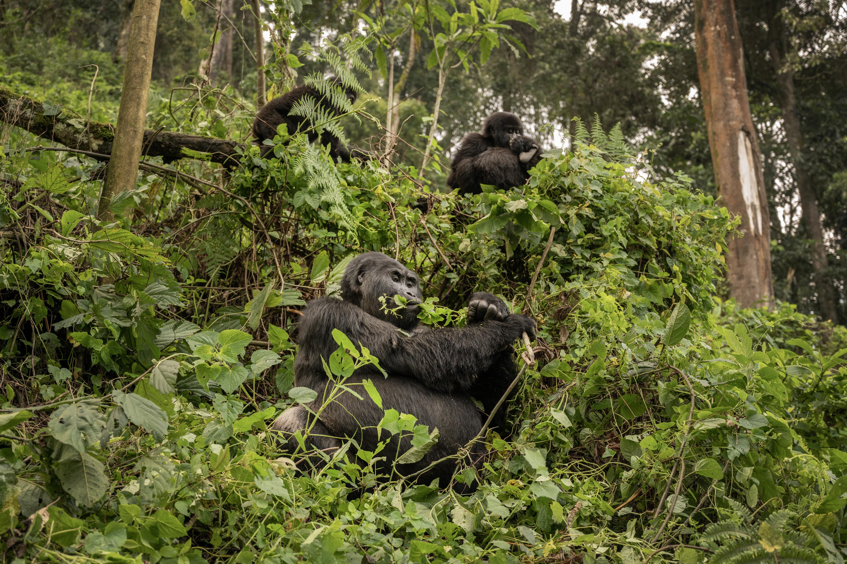 1-Day Kigali City Tour, Rwanda